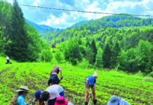 obavezan predmet u školi proizvodnja hrane