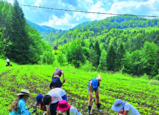 obavezan predmet u školi proizvodnja hrane