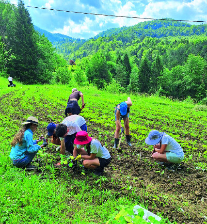 obavezan predmet u školi proizvodnja hrane