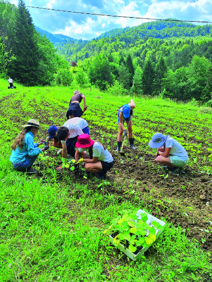 obavezan predmet u školi proizvodnja hrane