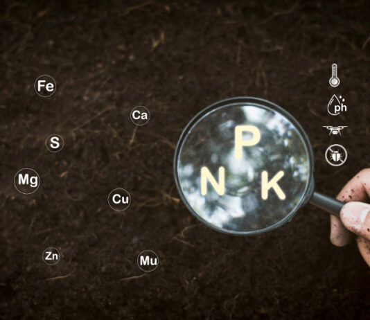 Kontrolirajte plodnost tla pri planiranju i uzgoju višegodišnjih kultura