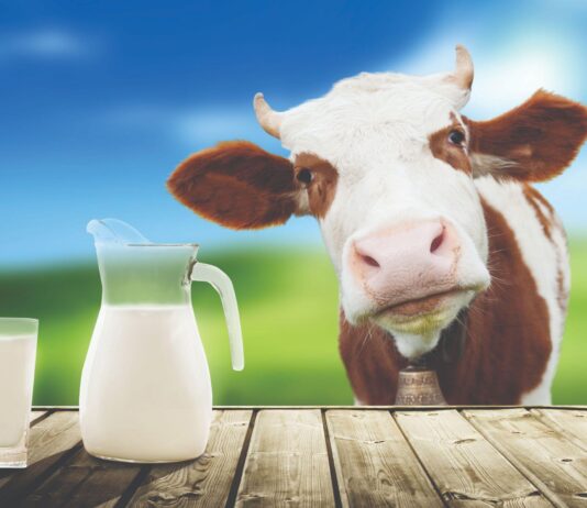 Koliko zapravo košta proizvodnja mlijeka? (2)
