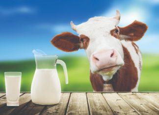 koliko košta proizvodnja mlijeka