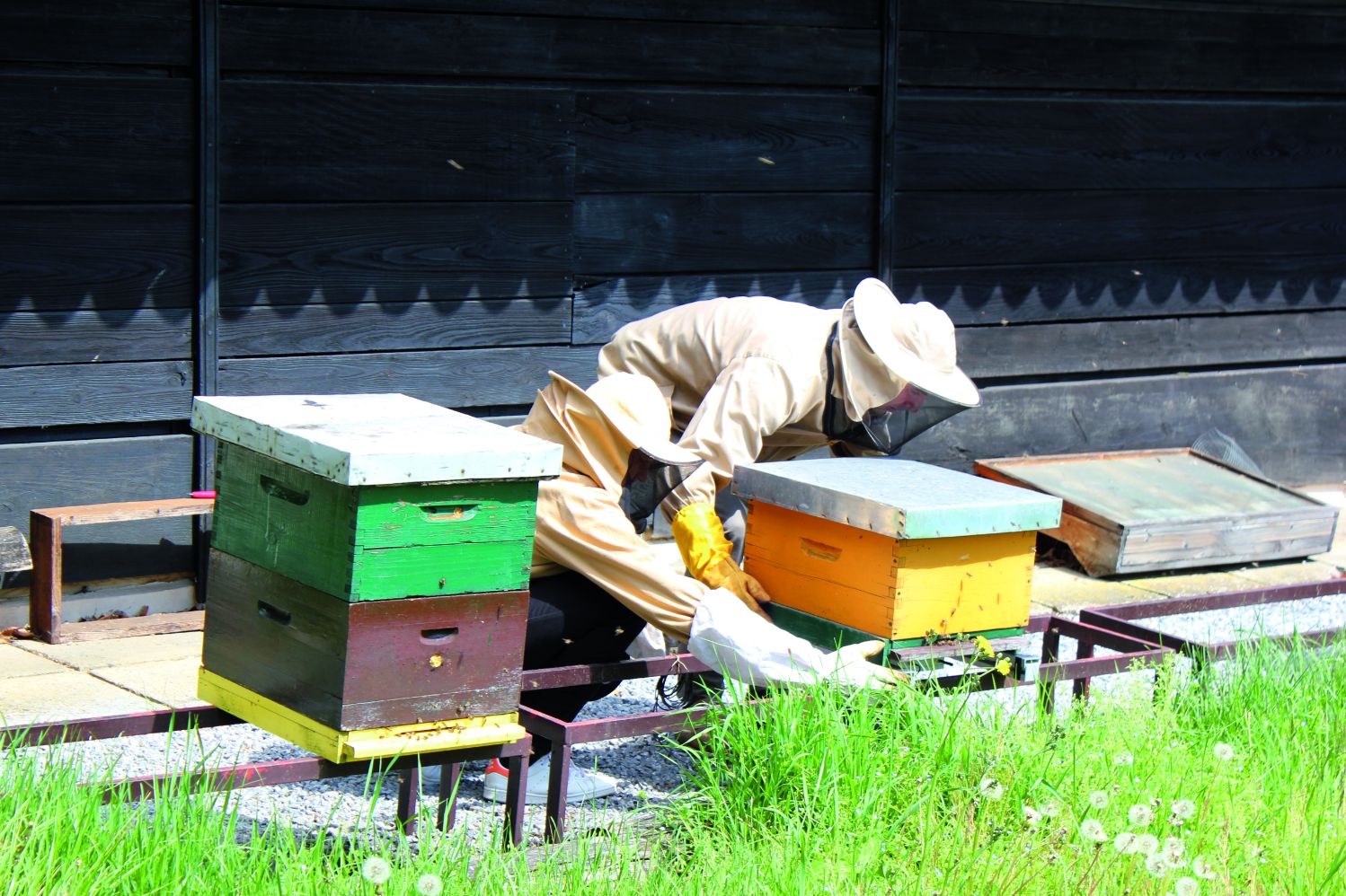 predviđanje pogodnih područja za ispašu pčela