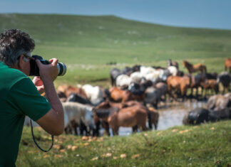 ruralfoto