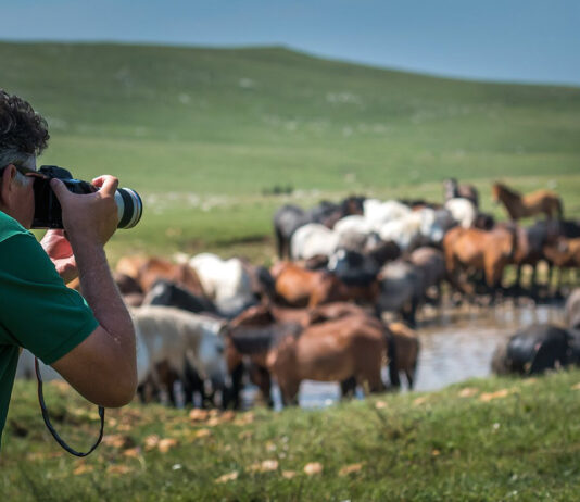 ruralfoto