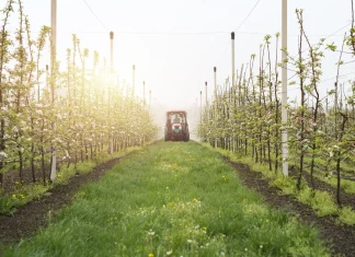 ostaci pesticida u hrani