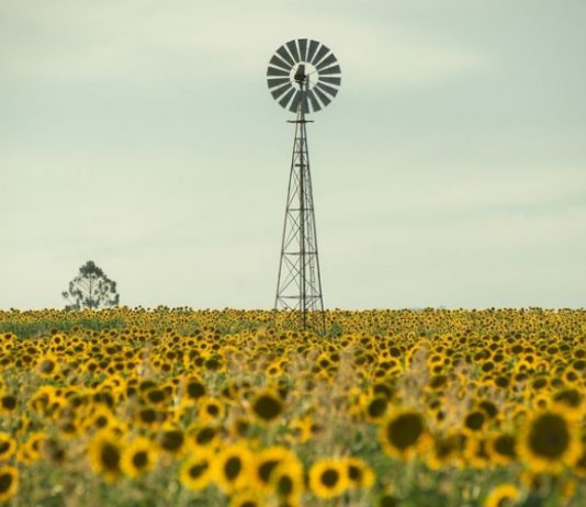 strategija biogospodarstva