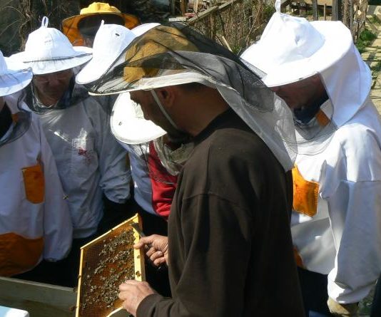 Pčelarska škola 2023/24. godine na Sveučilišnom kampusu Borongaj pčelarska škola