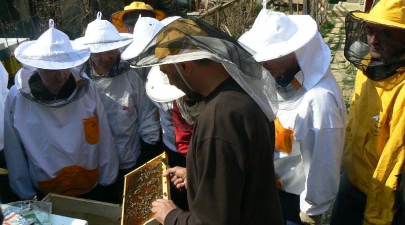 pčelarska škola