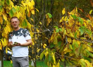 ivan šulog exotic king dulum zemlje egzotično voće