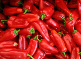 Paprika za ajvar