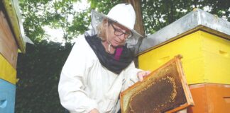 Milijun kuna potpore međimurskim pčelarima