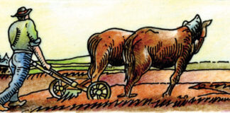 Povijest stočarstva Hrvatske - Poljoprivredna gospodarstva između 2 svjetska rata