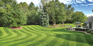 Prihrana sportskih terena i travnjaka na okućnicama