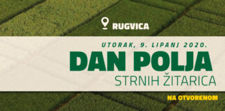 U utorak Dan polja Bc strnih žitarica u Rugvici!