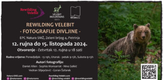 Rewilding Velebit