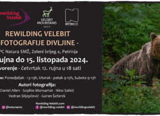 Rewilding Velebit