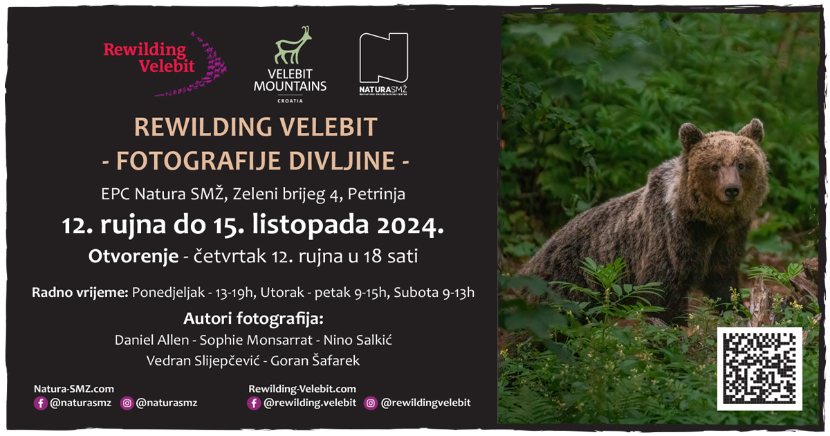 Rewilding Velebit