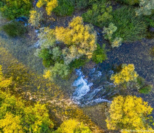 Danas obilježavamo Svjetski dan voda