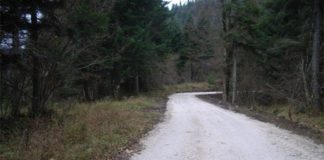 održavanje šumskih cesta