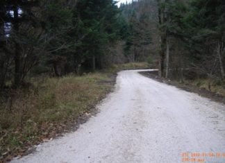 održavanje šumskih cesta