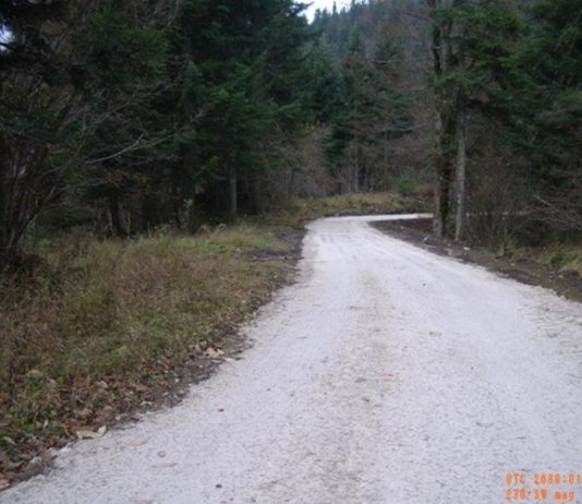 održavanje šumskih cesta