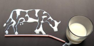 pad otkupnih cijena kravljeg mlijeka otkupne cijene mlijeka