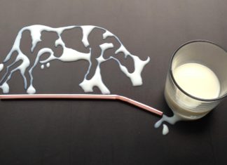 pad otkupnih cijena kravljeg mlijeka otkupne cijene mlijeka