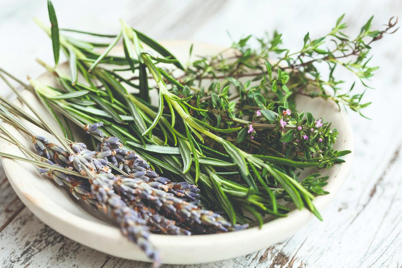 Ružmarin, timijan i lavanda – ljekovito bilje u kuhinji