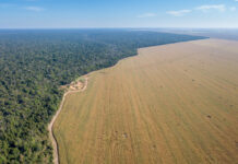 Kreće stroga kontrola poljoprivrednih proizvoda zbog zaštite šuma