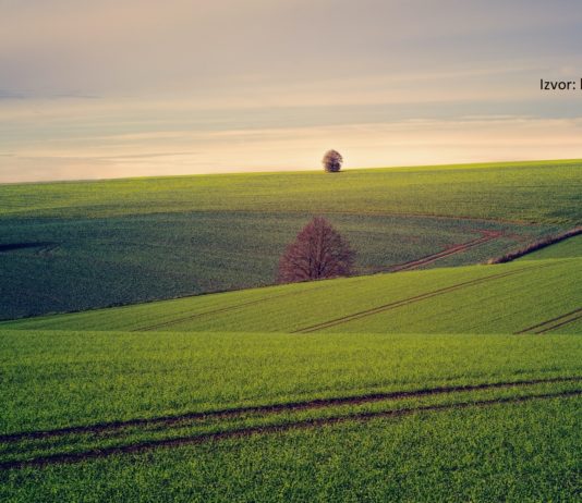 Izmjene pravilnika o intervencijama za potpore javnoj infrastrukturi i sustavima javnog navodnjavanja potpore sustavima navodnjavanja potpore ajvnoj infrastrukturi u ruralnim područjima