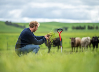 Održiva poljoprivreda i agroturizam kao temelj odgovornog ruralnog razvoja