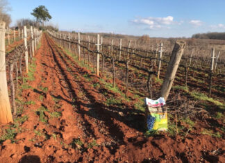 Jesenski obavezni rituali za plodnu sljedeću godinu