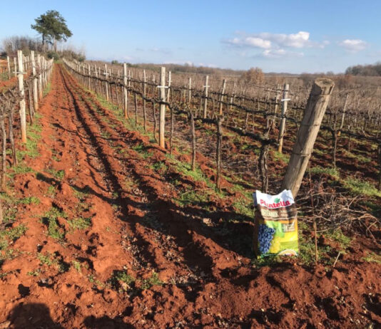 Jesenski obavezni rituali za plodnu sljedeću godinu