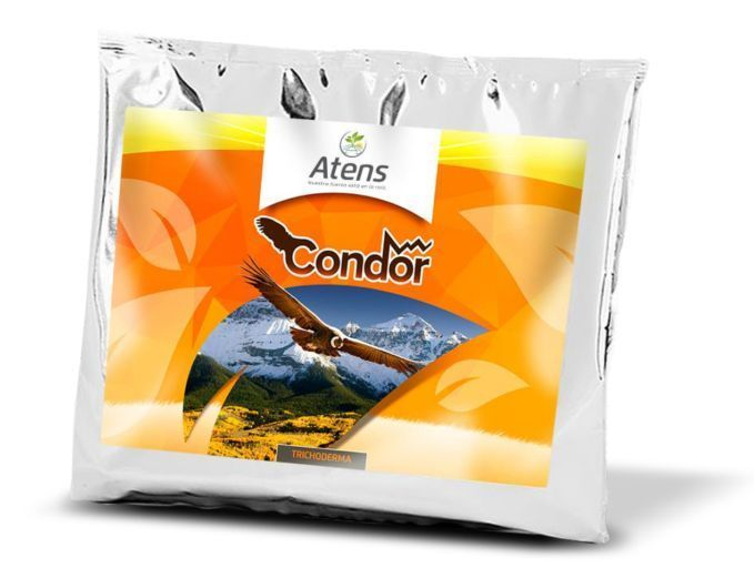 Mikrobiološki preparat Condor Shield na bazi gljive Trichoderma koningii u uzgoju jagoda