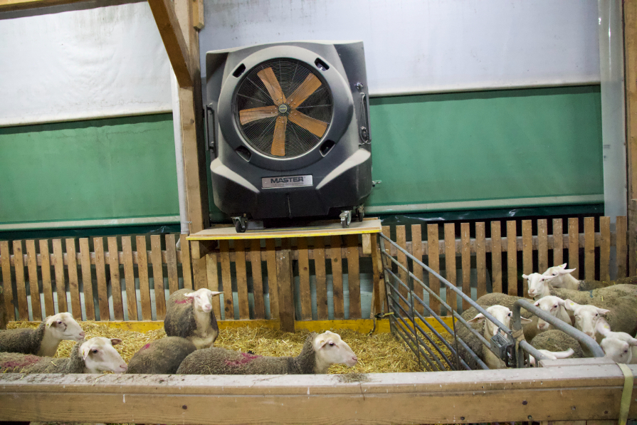 Ventilatori velikog kapaciteta u staji