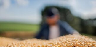 Isplativost proizvodnje soje u 2012.