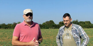 Što kažu stručnjaci za Clearfield uljanu repicu i BASF-ov inovativan sustav Clearfield?