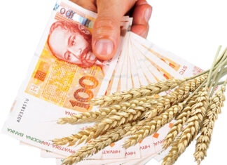 Što utječe na isplativost proizvodnje pšenice?