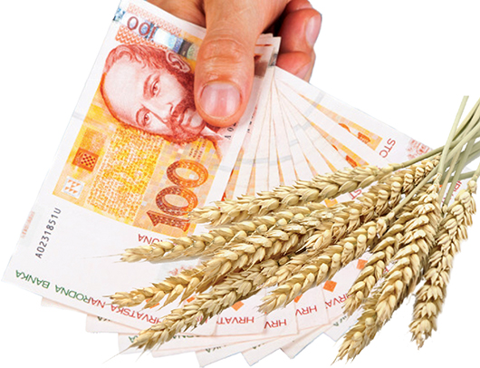 Što utječe na isplativost proizvodnje pšenice?
