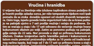 Držanje stoke u nepovoljnim uvjetima