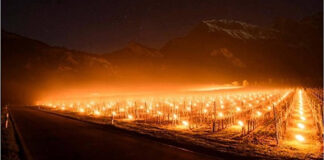 Učinkovito rješenje za sprječavanje štete od mraza