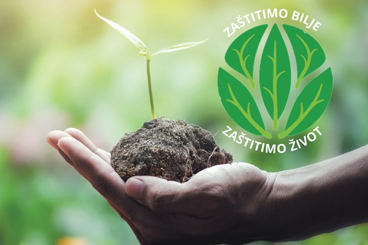 međunarodni dan biljnog zdravstva