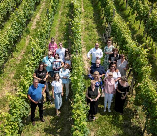 turistička zajednica svetog ivana zeline zelinski vilinski park