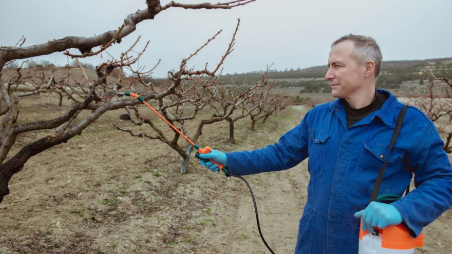 Zimsko prskanje voćaka i vinove loze