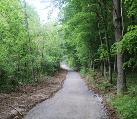 Objavljen Javni poziv za financiranje radova održavanja šumskih cesta u šumama malih šumoposjednika za 2024. Javni poziv za financiranje radova održavanja šumskih