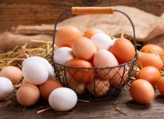 Vitamin B2 - važan za dobru oplodnju jaja