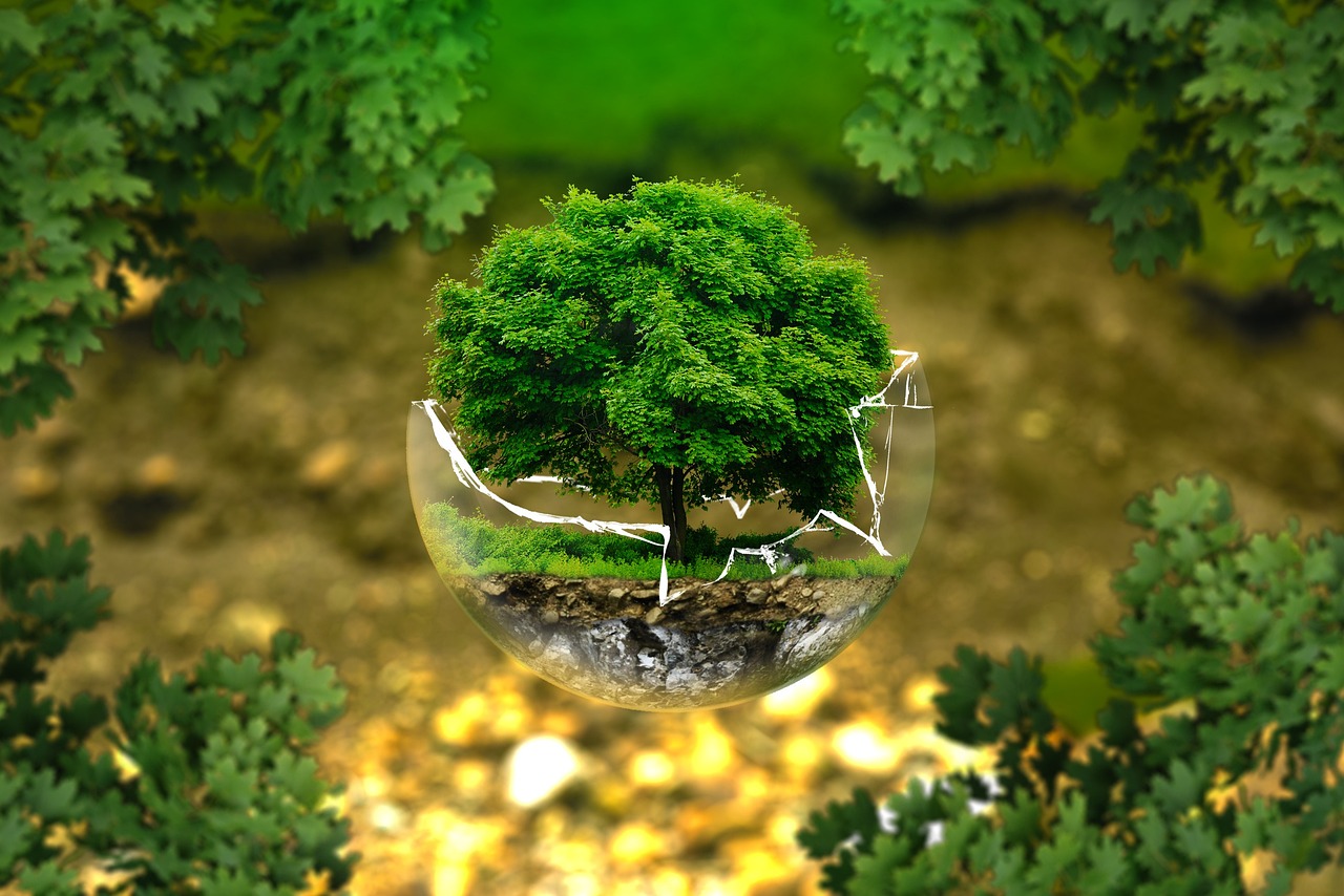andreasaux-environmental-protection-326923_1280