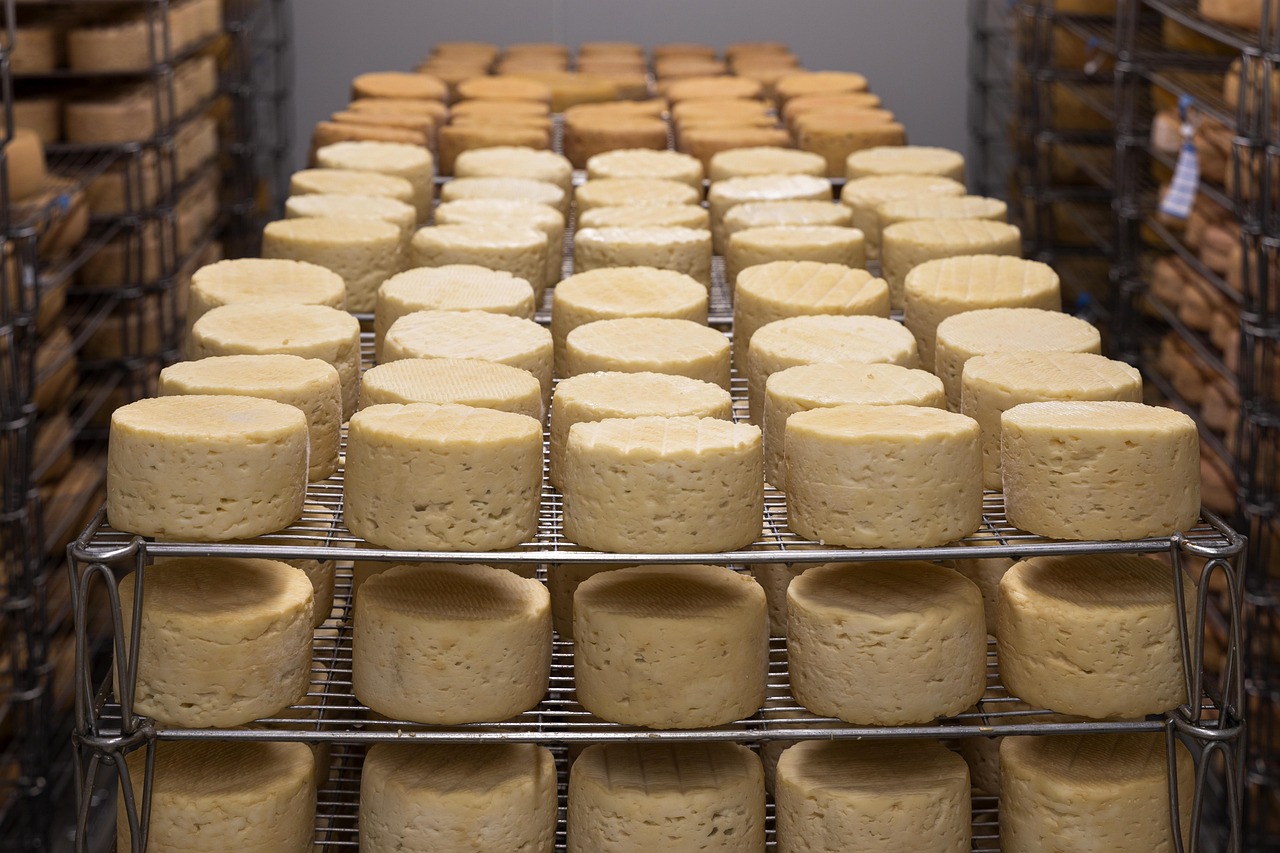 anthonyarnaud-cheese-5125021_1280